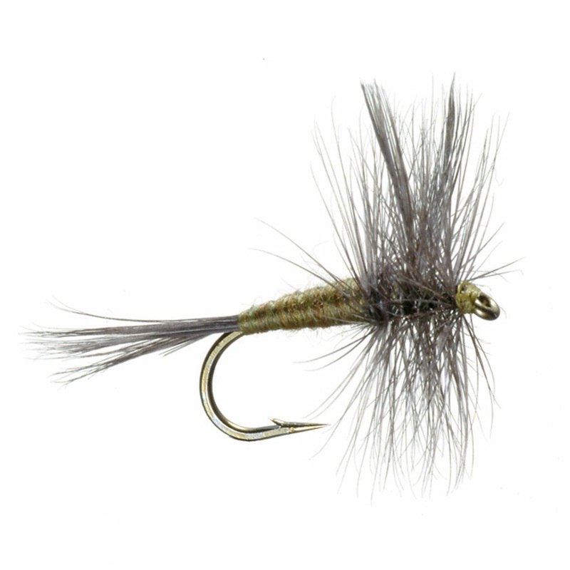 Umpqua Blue Wing Olive Fly 12 (12929)