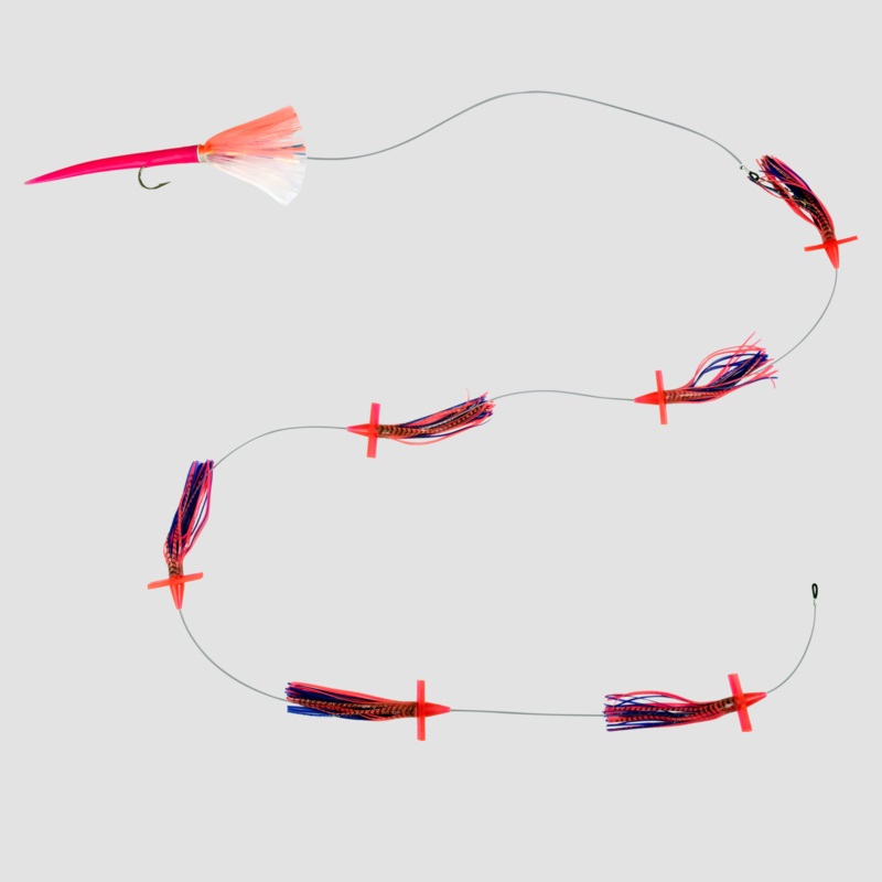 Wolfpack Ahi Bird Chain Glow Pink