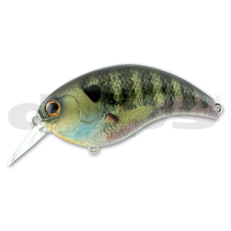 DEPS Evoke 3.0 – 80 mm #01