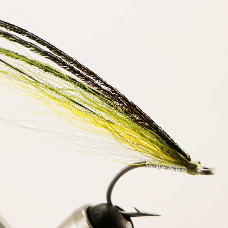 Ray’s Fly #2