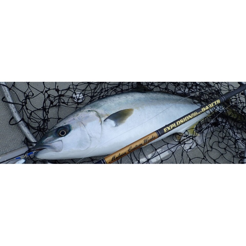 MC Works 2023 Explosion EXP843CTR STD