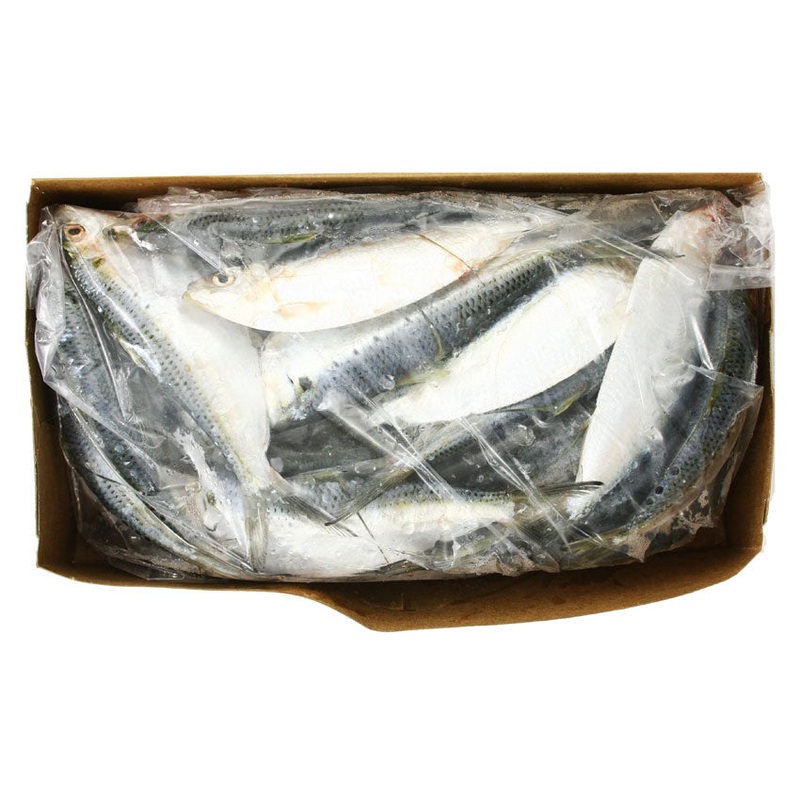 Baitmasters 5LB Frozen Threadfins (In Store Pick Up Only NO SHIPPING)