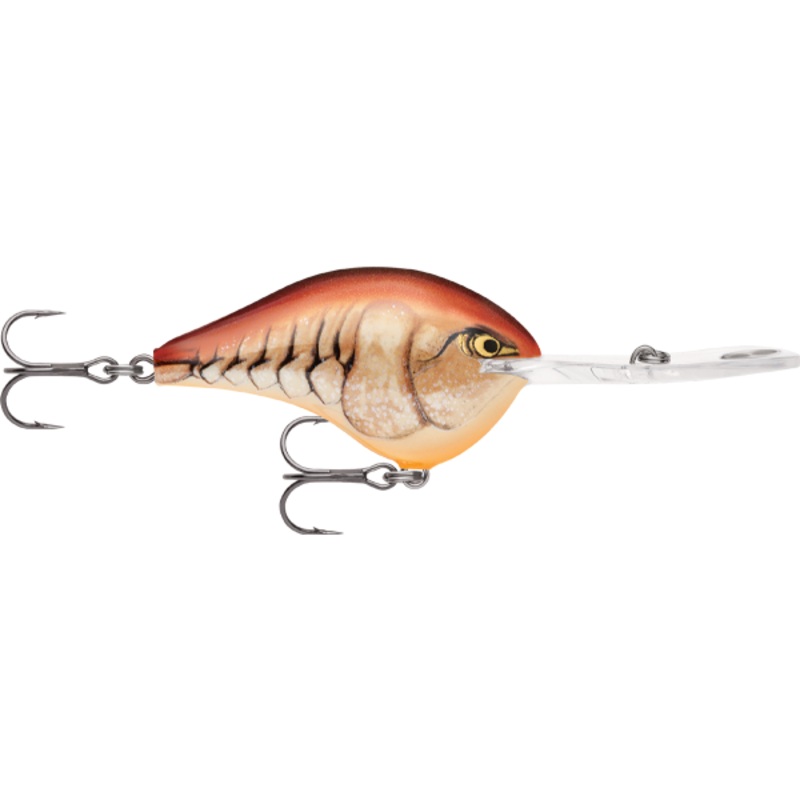 Rapala DT 20 Dives To 20 Foot Crankbait Hard Body Lure Big Shad
