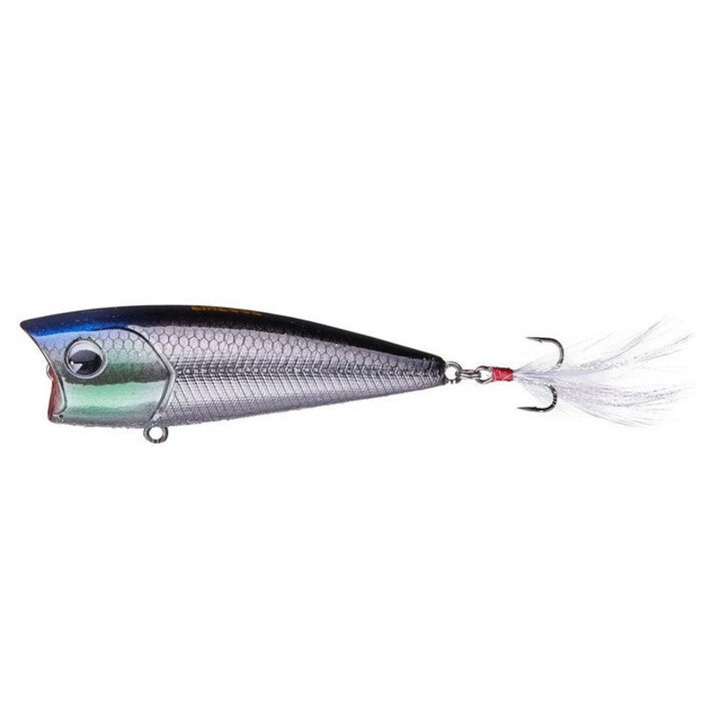 Ima Finesse Popper Real Blue Head Black Back Ghost