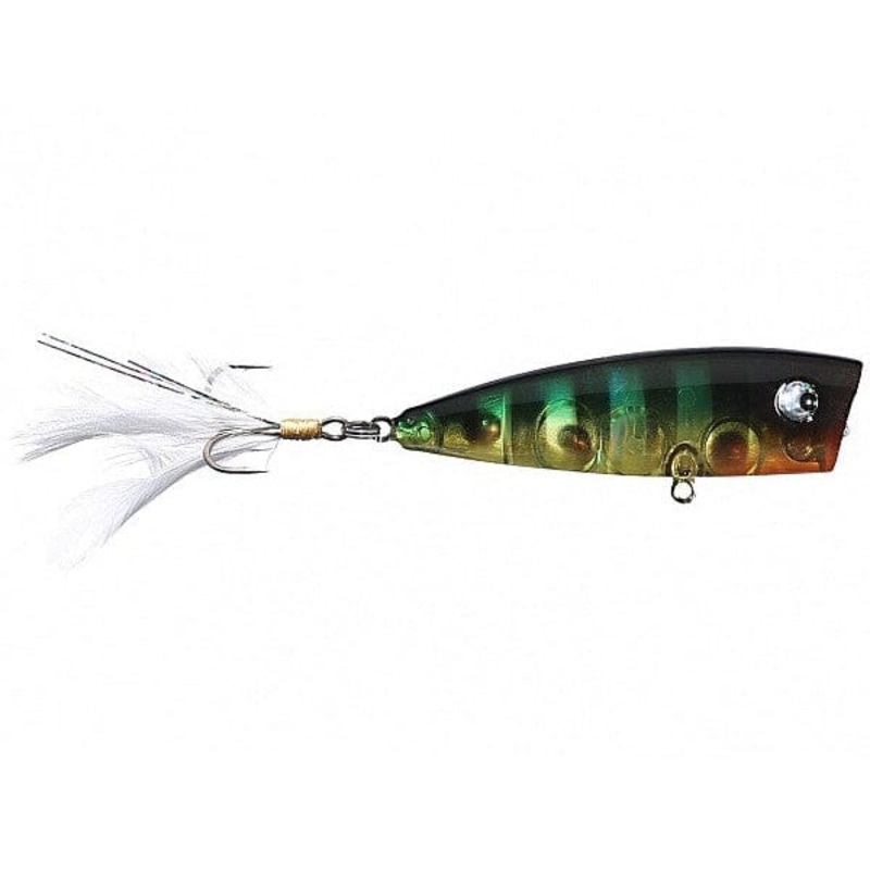 Lobina Rico Popper 578 Garrett’S Gill Rico