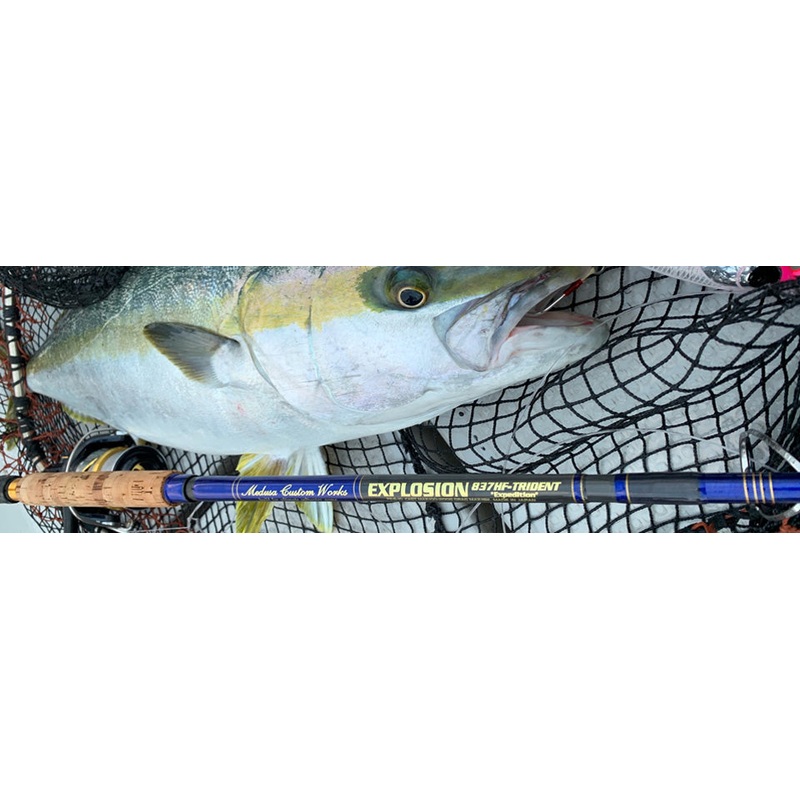 MC Works 2021 Explosion EXP837HF-T Trident