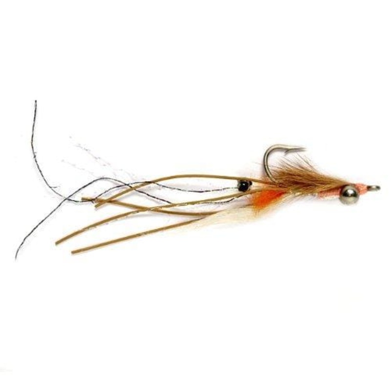 Peterson’s Spawning Shrimp #6