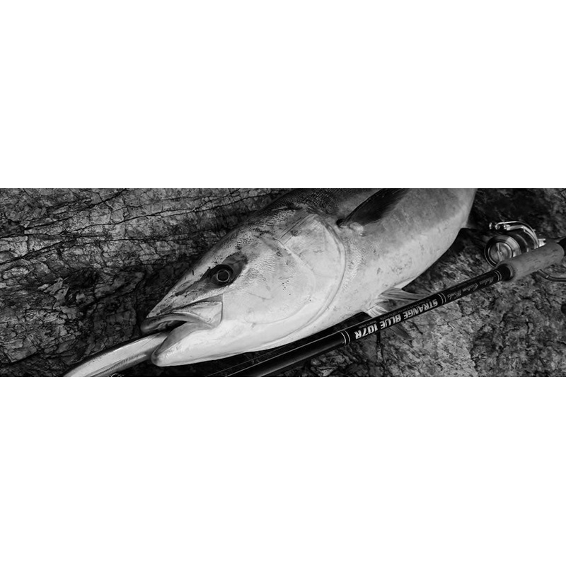 MC Works Strange Blue SBL103S SP