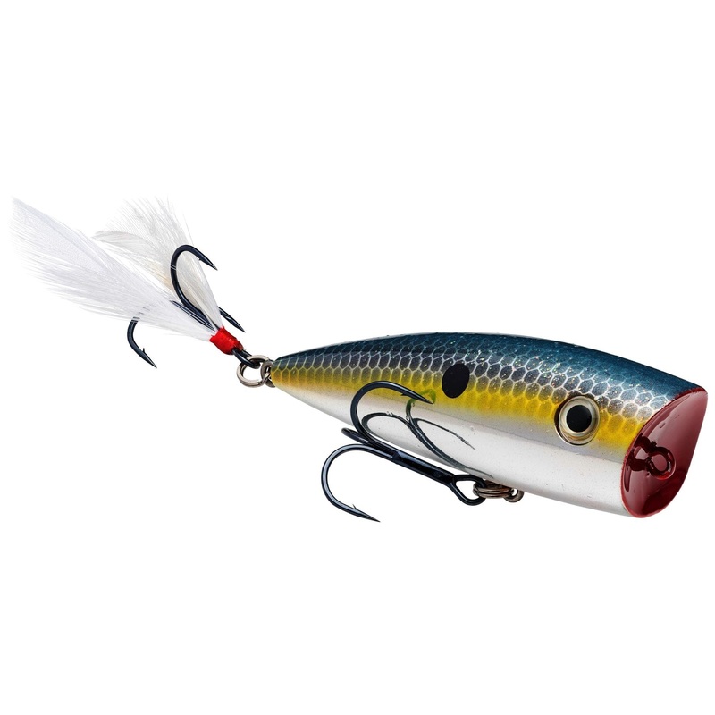 Strike King Hc Kvd Splash Chrome Sexy Shad