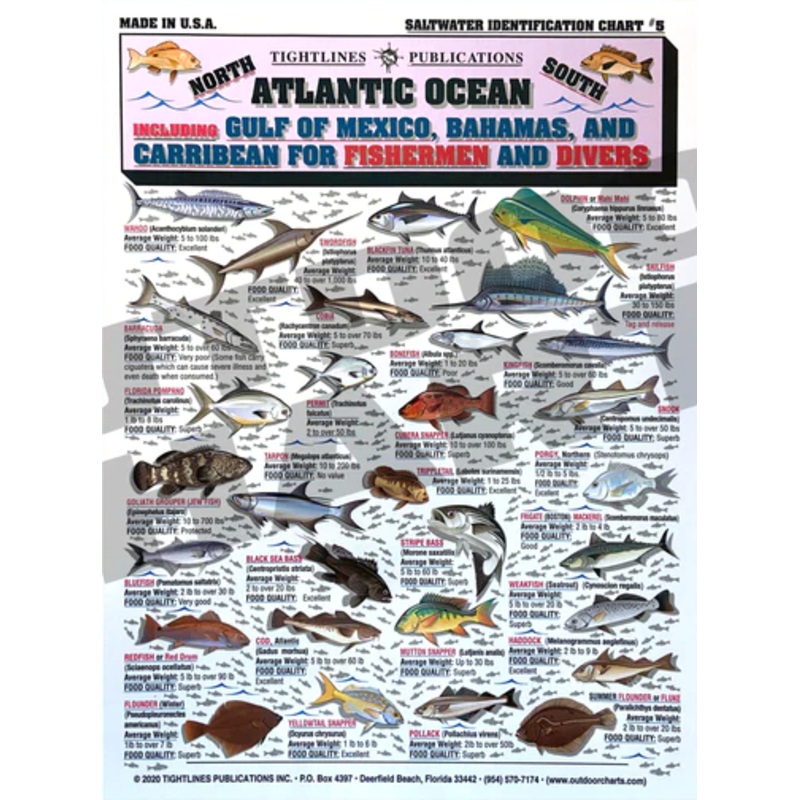 Tightlines Fish ID #5 Chart – Gulf Waters & More
