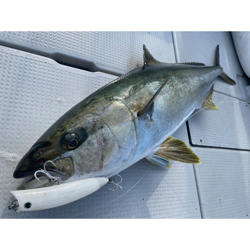 Good Bait BnD 163F Diving Popper Neon Shirasu