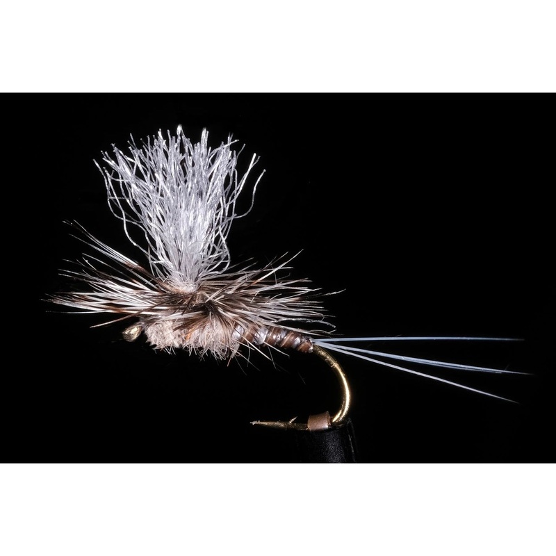Kyle’s Nesameletus Dry Freshwater Fly #14