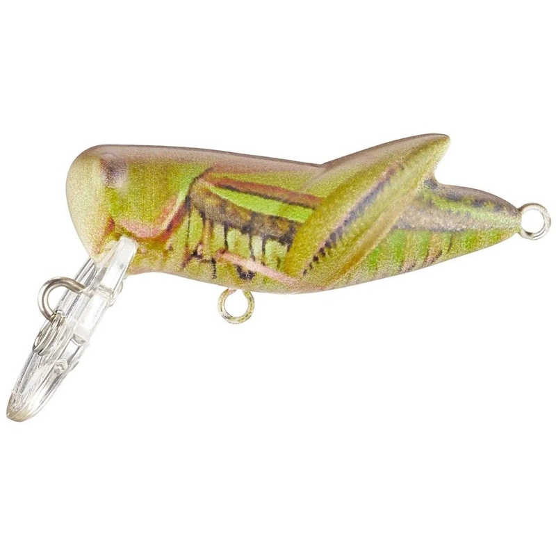 Rebel Crickhopper Army Cricket