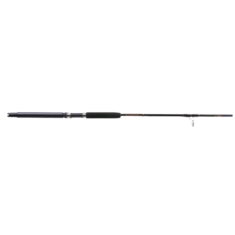 Star Rods Aerial Live Bait Conventional Rod EXKF66