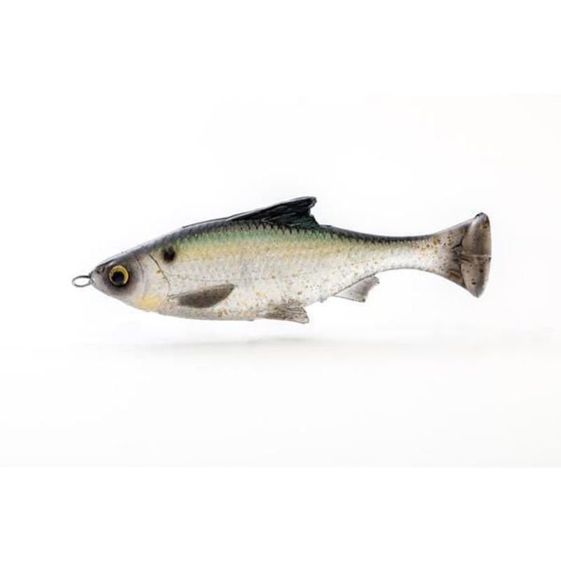 Savage Gear Pulse Tail LT Shiner Swimbaits Green Back