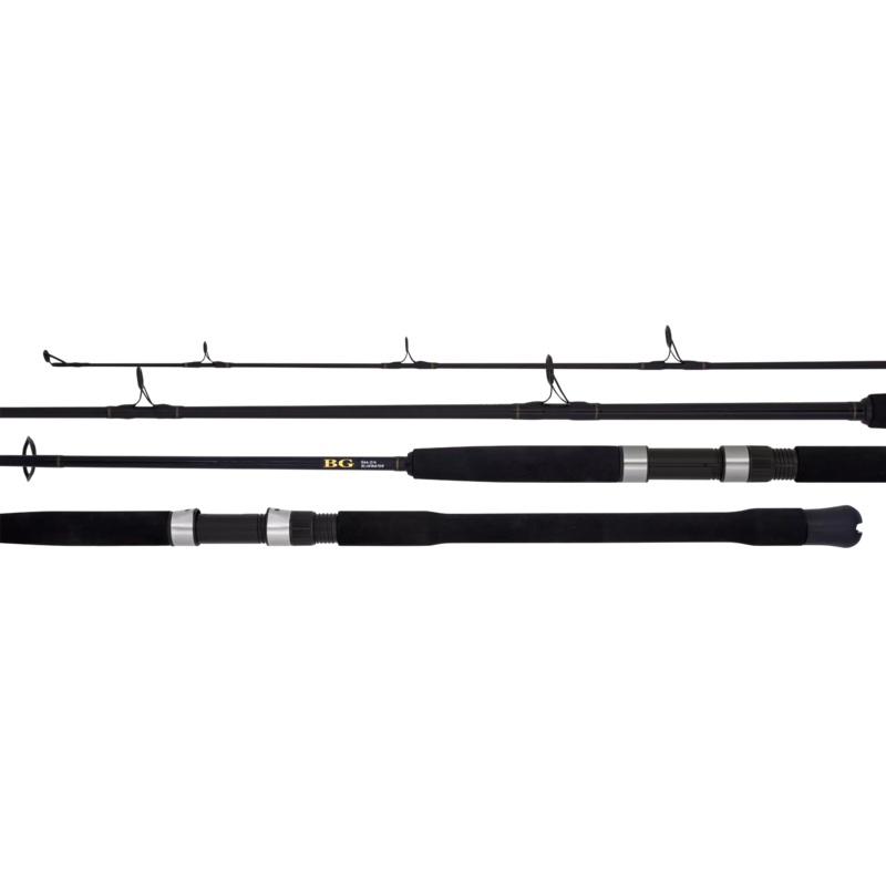 Daiwa 22 BG Bluewater Rod Overhead B60-4/6
