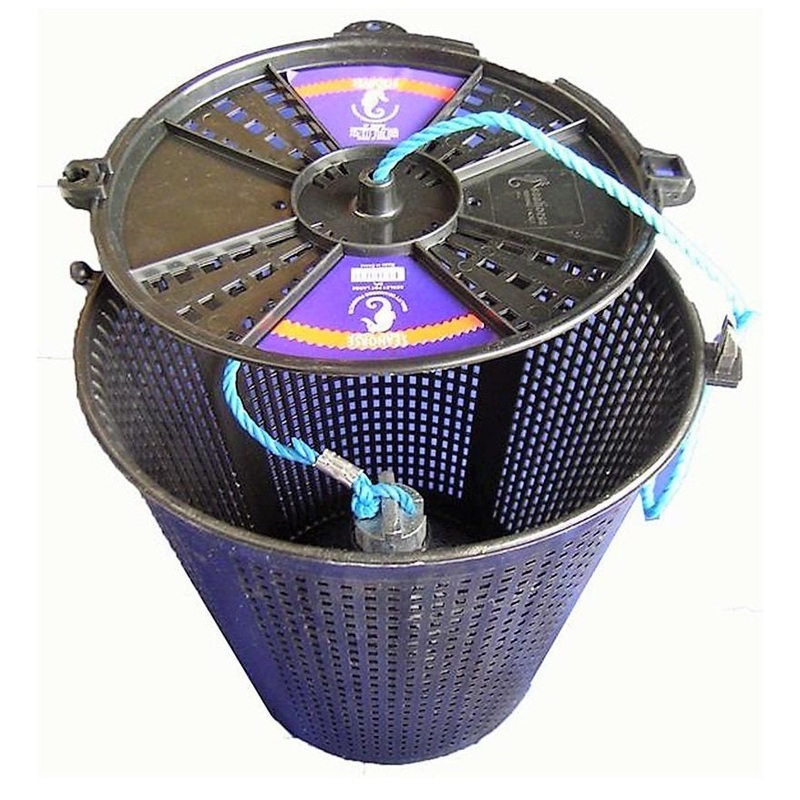 Seahorse Berley Pot Large