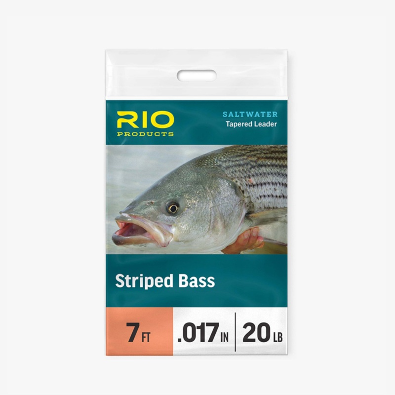 STRIPED BASS 12lb