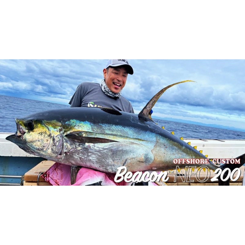 D-Claw Floating Popper Beacon NEO 200 01 Sardine