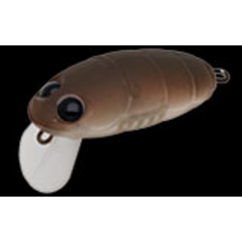 NORIES Crankin Pupa Shallow – 35mm #109