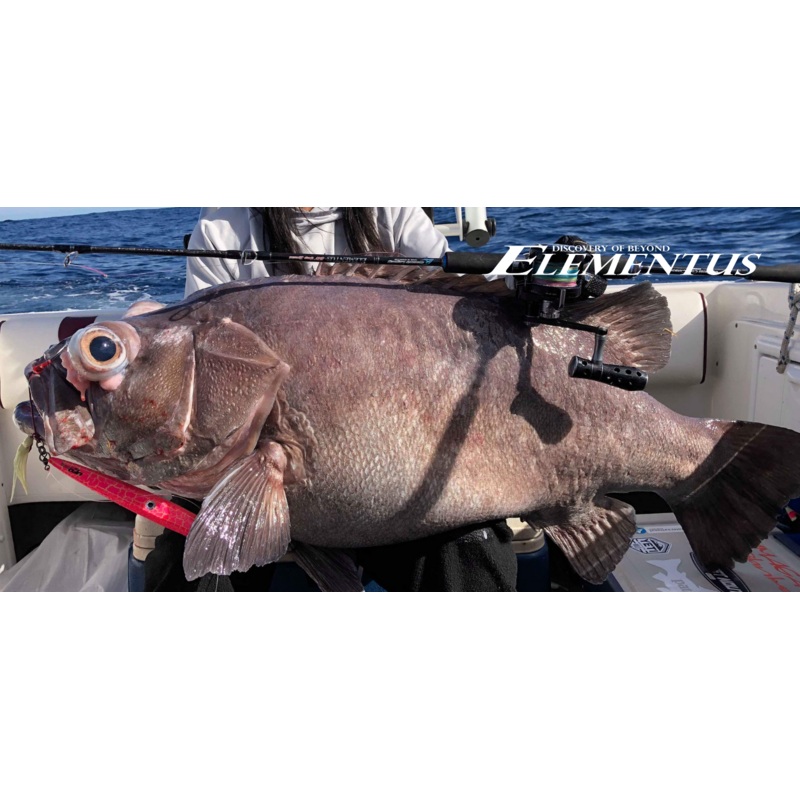 Oceans Legacy Elementus Overhead ELDS-B61H+