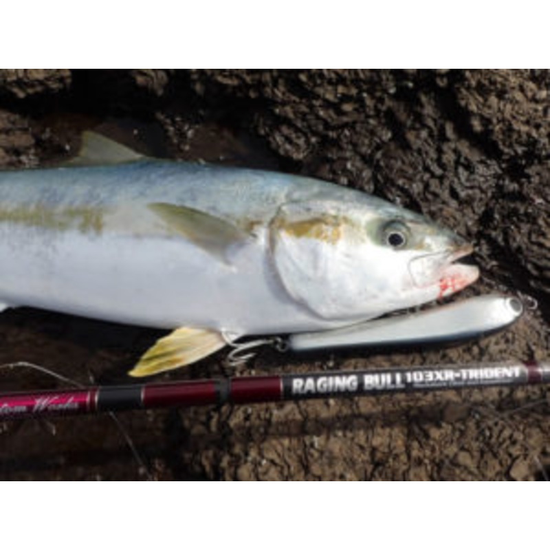 MC Works RB103XR-T SP