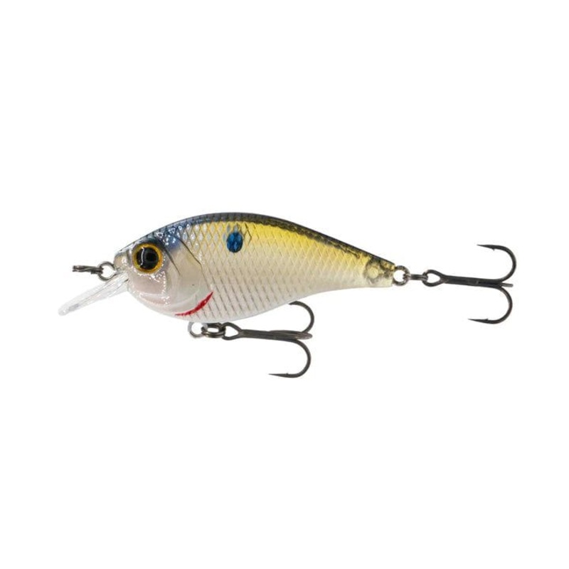 6th Sense Pressured Series Crankbait Clearwater Shad PD4