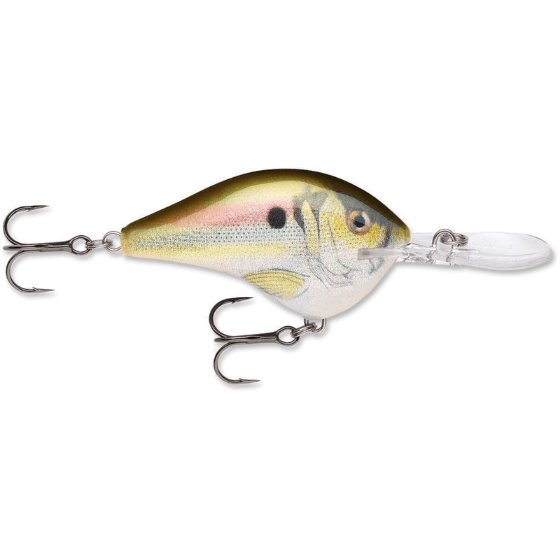 Rapala Dt 10  Live River Shad