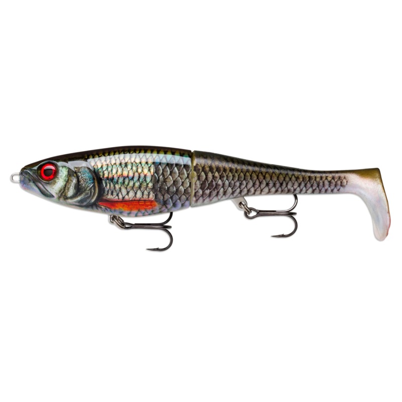 Rapala X-Rap Peto Live Roach