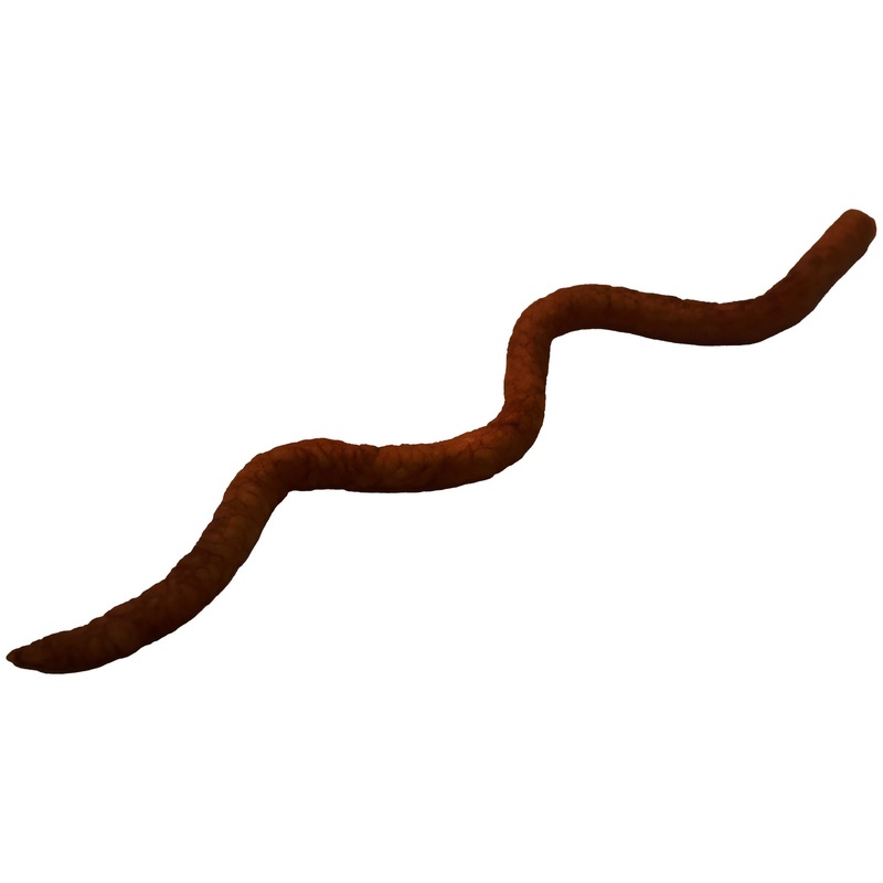 Uncle Josh Pork Nightcrawlers Canadian Crawler