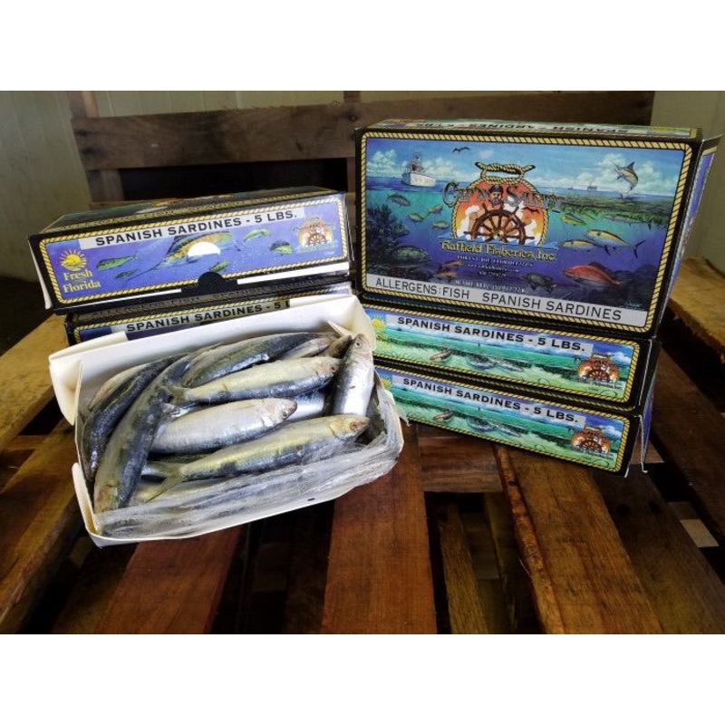 Captain Salty Frozen Sardines (LOCAL PICK UP ONLY NO SHIPPING)