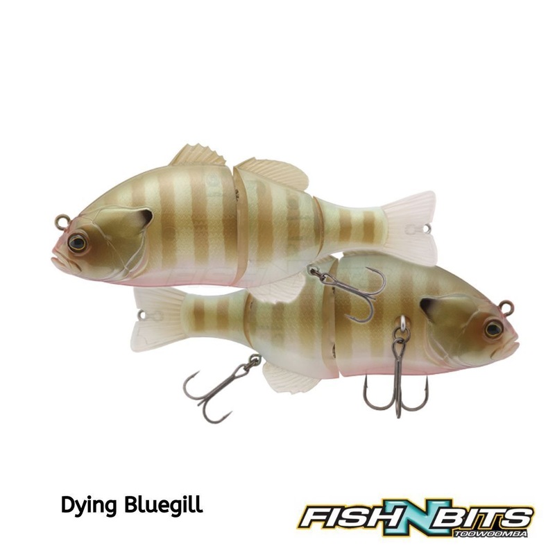 Jackall – Chibitarel DR HL Bluegill