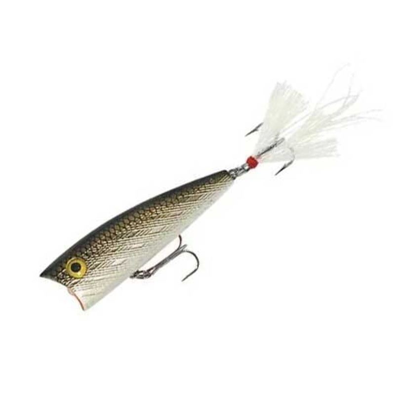 Rebel Magnum Pop-R Tennessee Shad