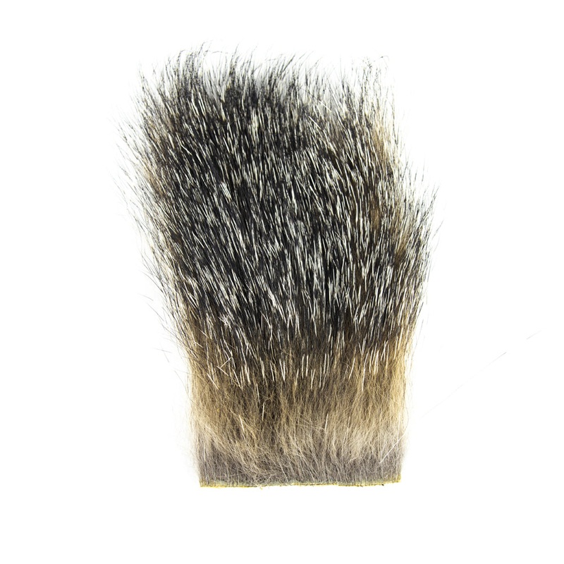 GRAY FOX