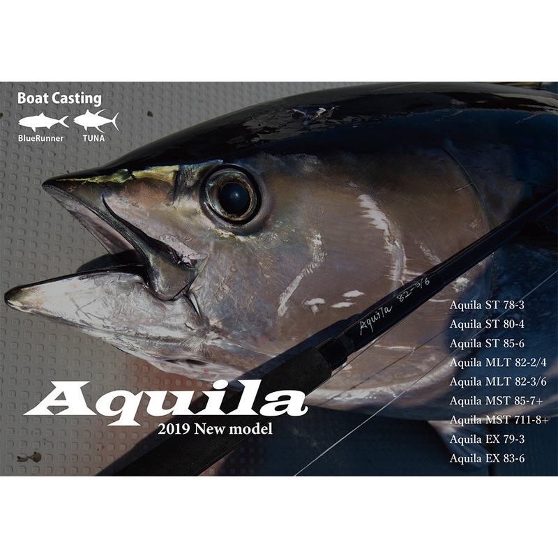 Ripple Fisher Aquila MST 711-8+
