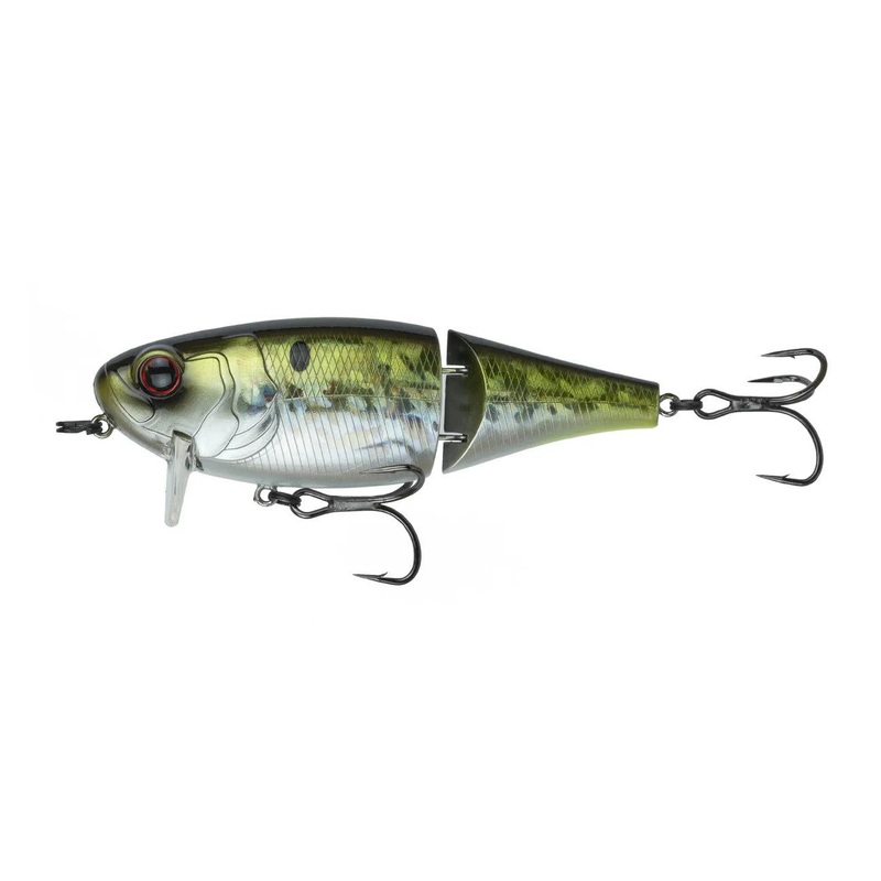 6Th Sense Speed Wake – American Shad