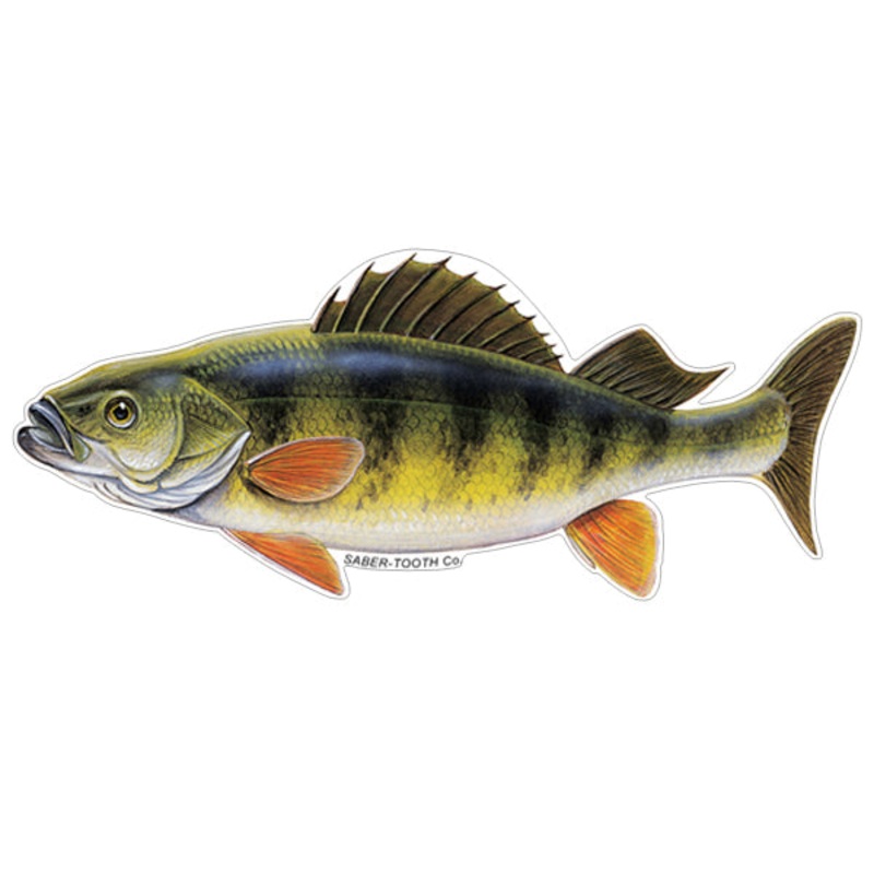 STC Fish Decals Perch Small Both