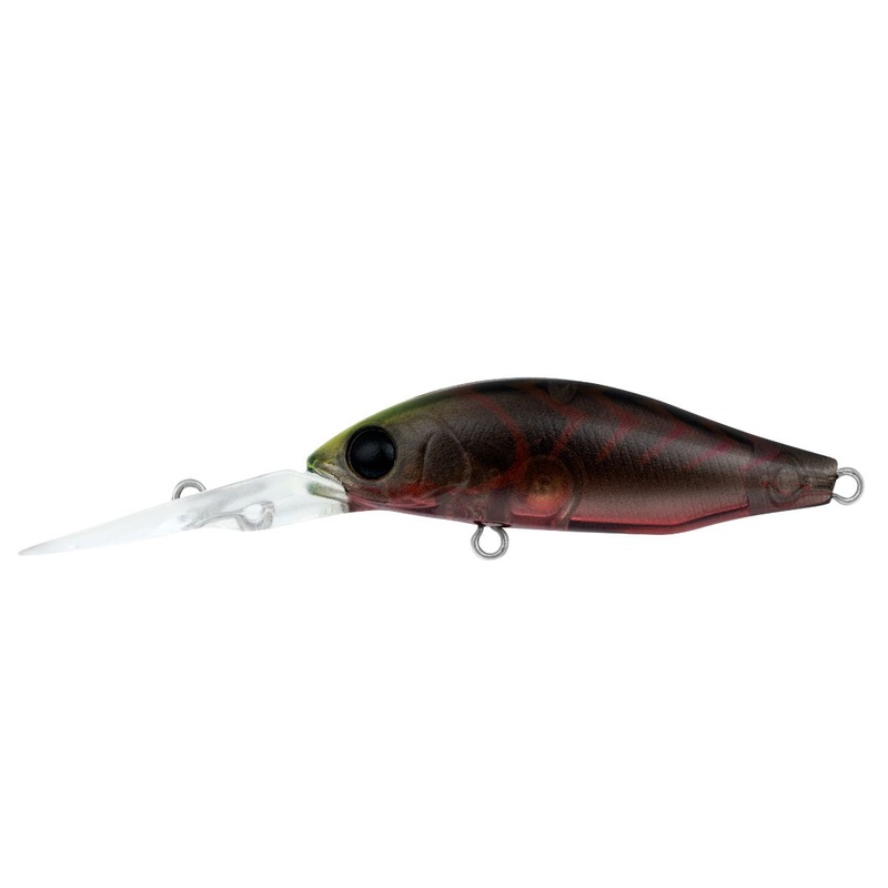 Daiwa Infeet Spike 44MR Suji Berry