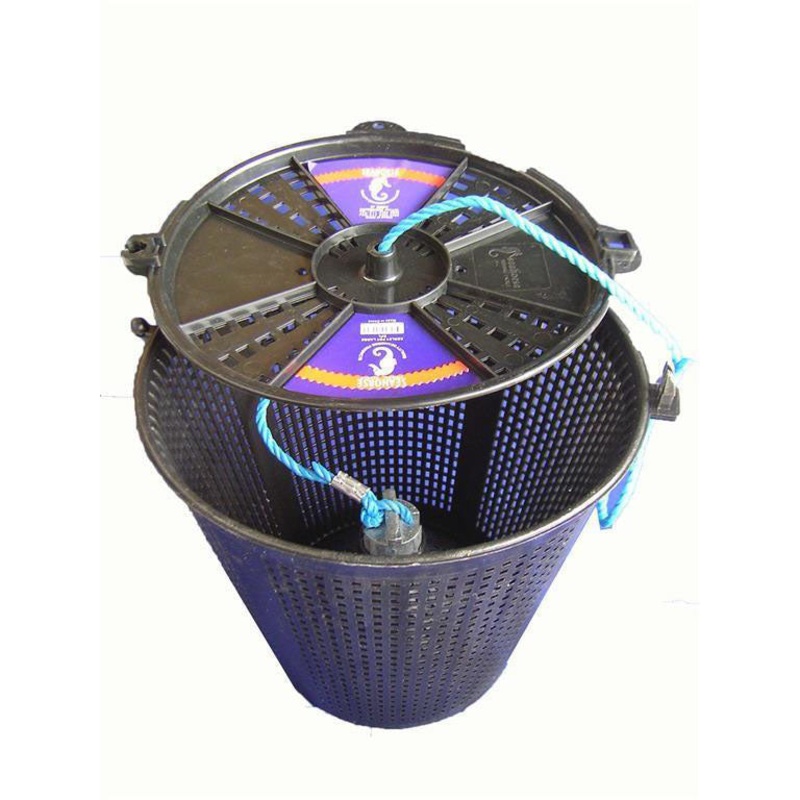 Seahorse Berley Pot Large with Lid & Rope