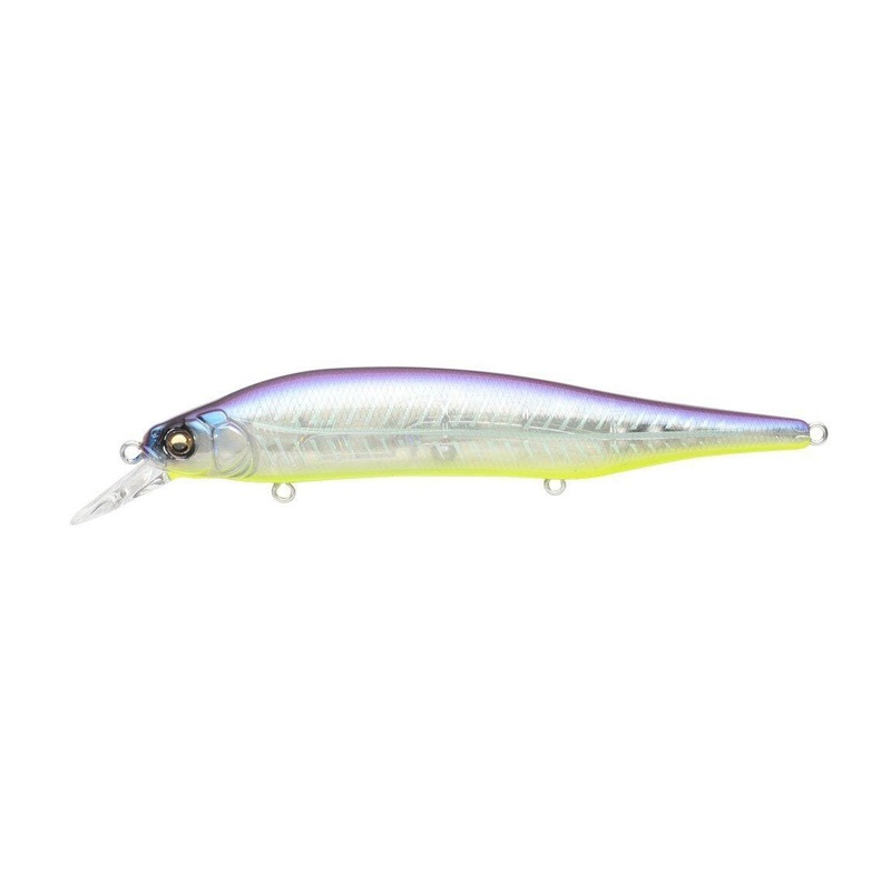 Megabass Ito Shiner Elegy Bone