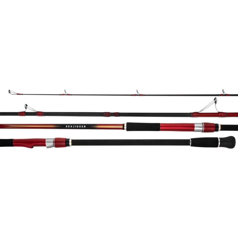 Daiwa 23 Seajigger 1002ML