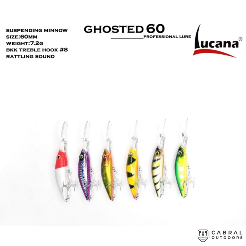 Lucana Ghosted Minnow | 60-70mm Honey Bee 60mm