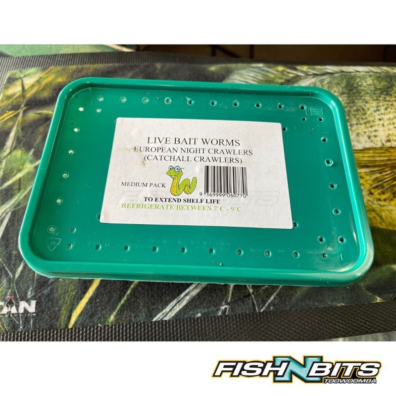 Live Bait Worms Small 25pk