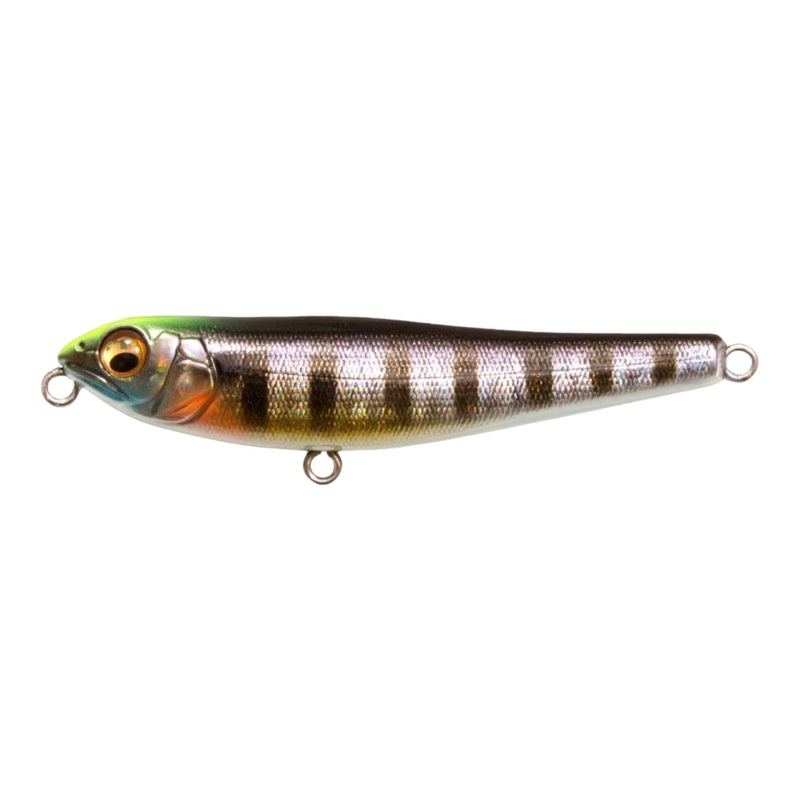 Megabass Dog-X Jr Coayu (BFS) Bahama Milk Pearl