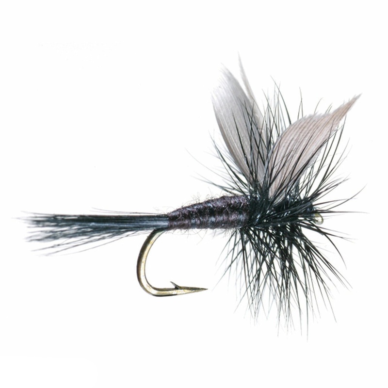 Umpqua Black Gnat Fly 14 (12895)