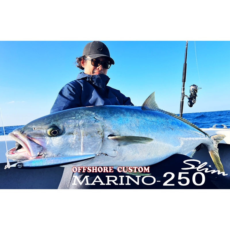 D-Claw Floating Stickbait MARINO SLIM 250mm Navy Back