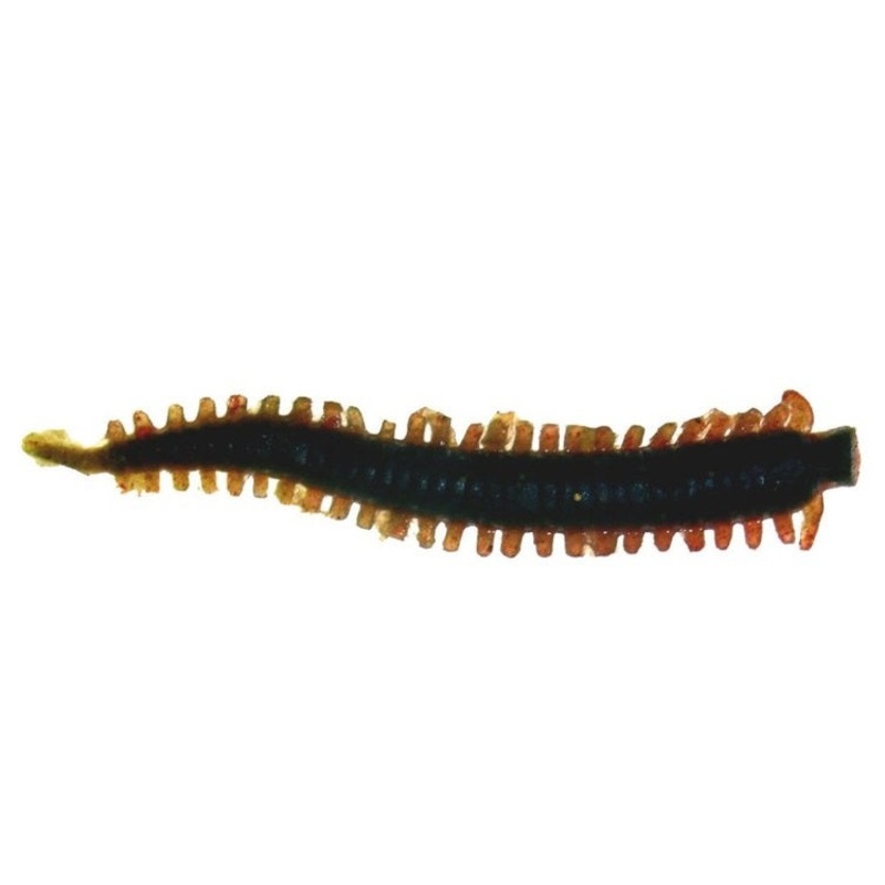 Berkley Gulp Sandworm 2 inch Soft Plastic Lure Bloody