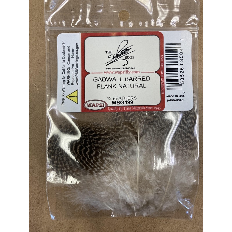Gadwall Barred Flank Natural
