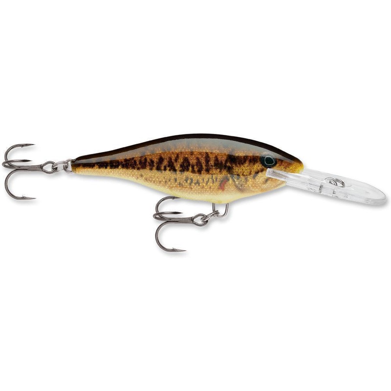 Rapala Shad Rap 07  Live Smallmouth Bass
