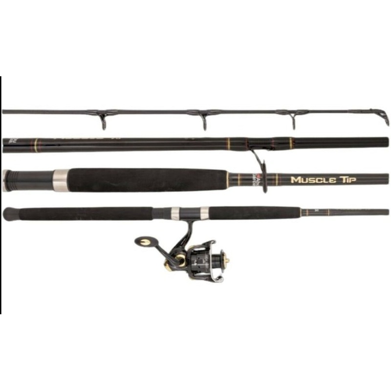 Abu Garcia MT4 Muscle Tip Spin Combo 431SL 2000